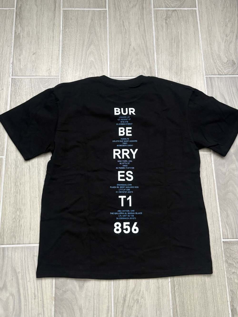 Burberry Graphic Tee with Blue Photo-Print - Picture 2 of 3